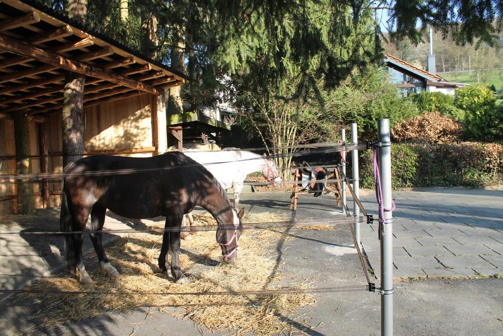 Ferienhaus "Kleiner Onkel" Honerath Екстер'єр фото