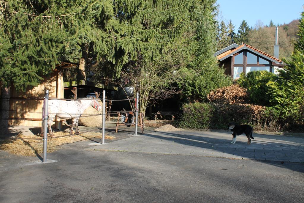 Ferienhaus "Kleiner Onkel" Honerath Екстер'єр фото